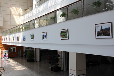 05.jpg