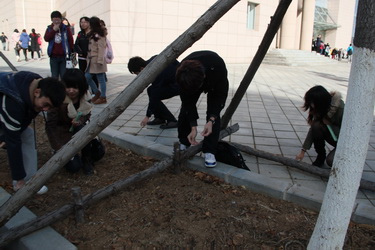 01.jpg