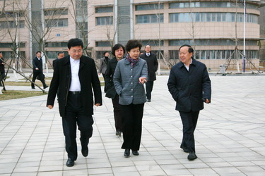 05.jpg